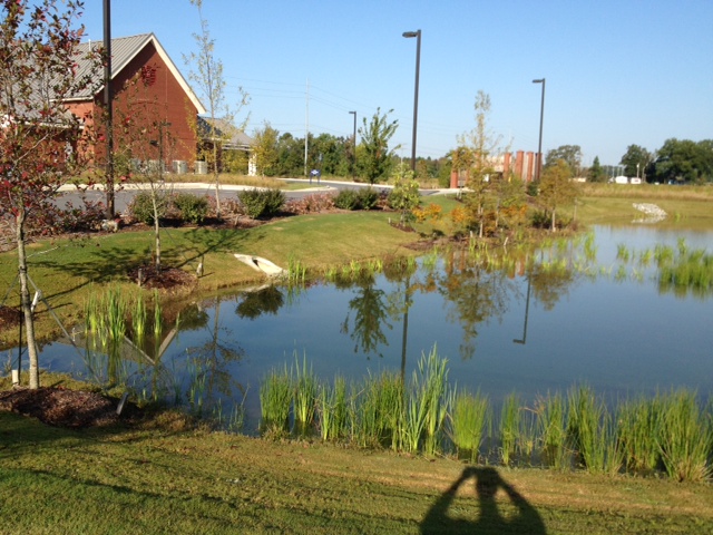 Grade-Rite Construction, LLC Site Preparation NC