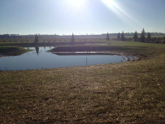 Grade-Rite Construction, LLC Eastern North Carolina