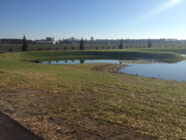 Grade-Rite Construction, LLC Site Preparation NC